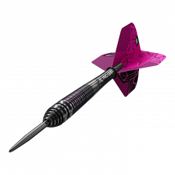 Target Lorraine Winstanley GEN2 Swiss Point Steeldarts