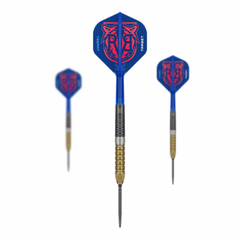 Target Raymond Van Barneveld GEN6 Swiss Point Steeldarts