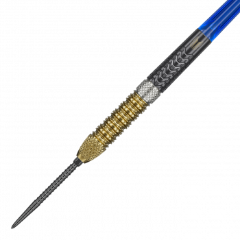 Target Raymond Van Barneveld GEN6 Swiss Point Steeldarts