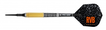 Target Raymond van Barneveld RvB Gen2 - Softdarts