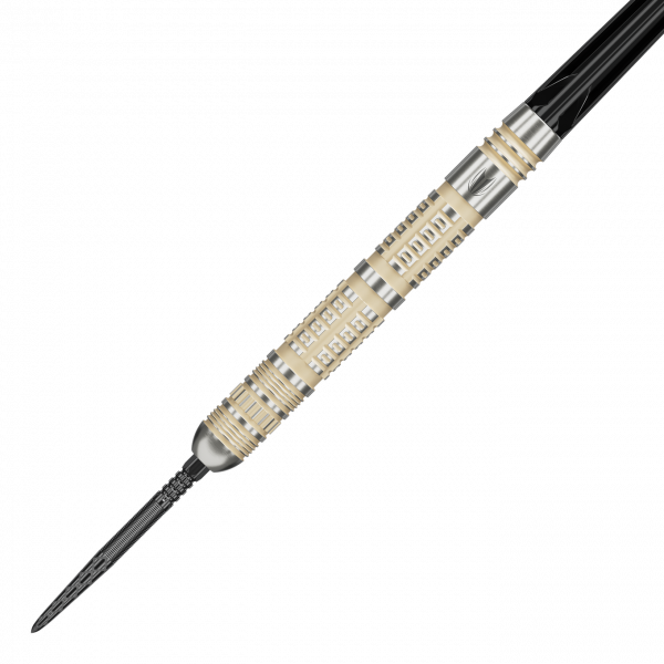 Target Dimitri Van Den Bergh 95K Swiss Point Steeldarts