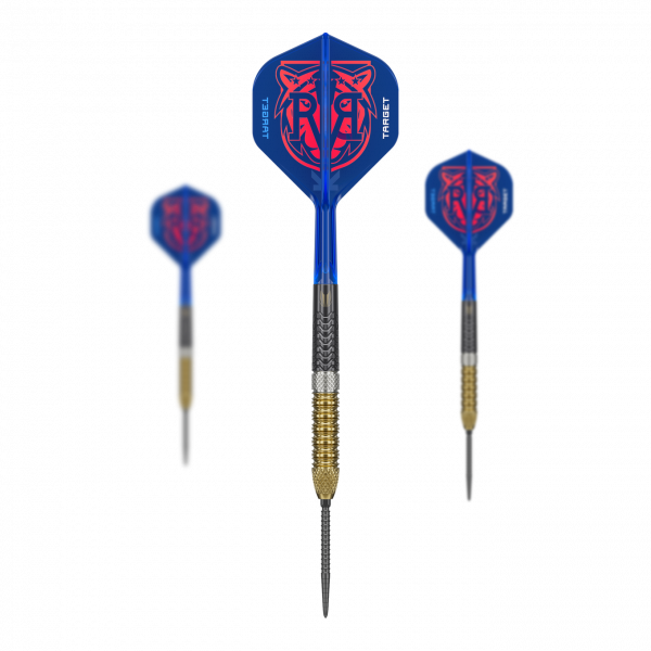 Target Raymond Van Barneveld GEN6 Swiss Point Steeldarts