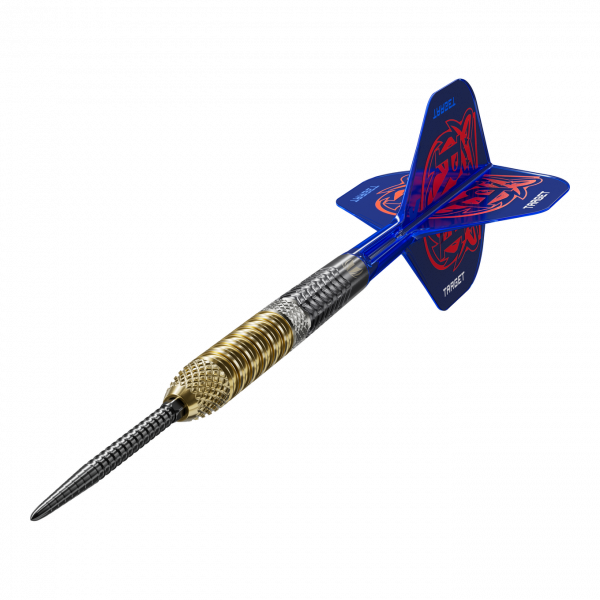 Target Raymond Van Barneveld GEN6 Swiss Point Steeldarts