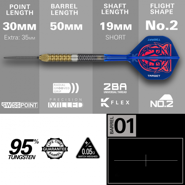 Target Raymond Van Barneveld GEN6 Swiss Point Steeldarts