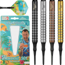 Wayne Mardle "Hawaii 501" - Softdarts